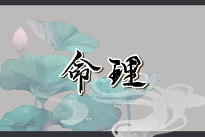 算命紫微斗数 命盘查询免费算命 卦命盘 命盘排盘 紫微婚姻免费测算 排命盘八字